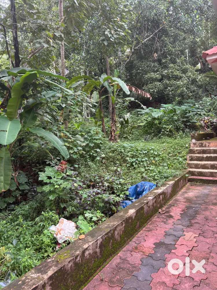 Plot for sale near hilte mall calicut