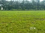 Low price agricultural land sale