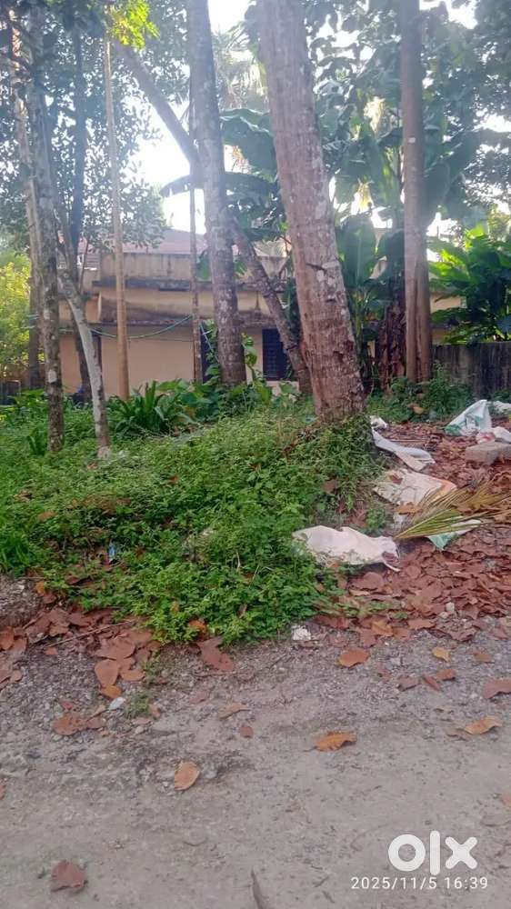 Nadakkavu nr Bismi hyper 2.75 cnt house plot for sale.