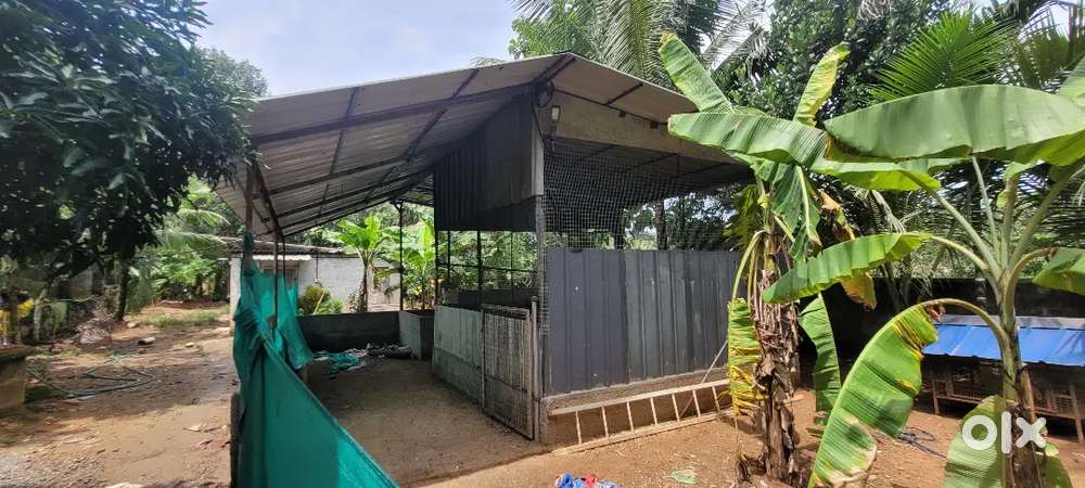 Prime Land for Rent in Mithrapuram – Ideal for Business or Farming