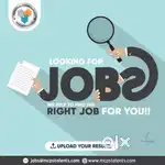 Fresher and Experience