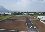 CBE - OOTY National Highway - DTCP PLOTS SALE