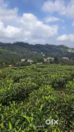 paruthumpara  2.50 Eaker Land for SALE