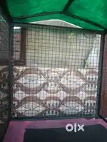Best quality cage