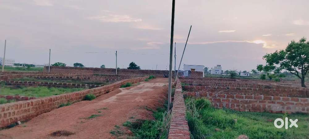 Baramunda to 20minuts Distance Pitapalli location plot available.