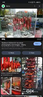 ,,NEED CHEF FOR CHICKEN COUNTER