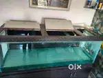fish tank 6 foot