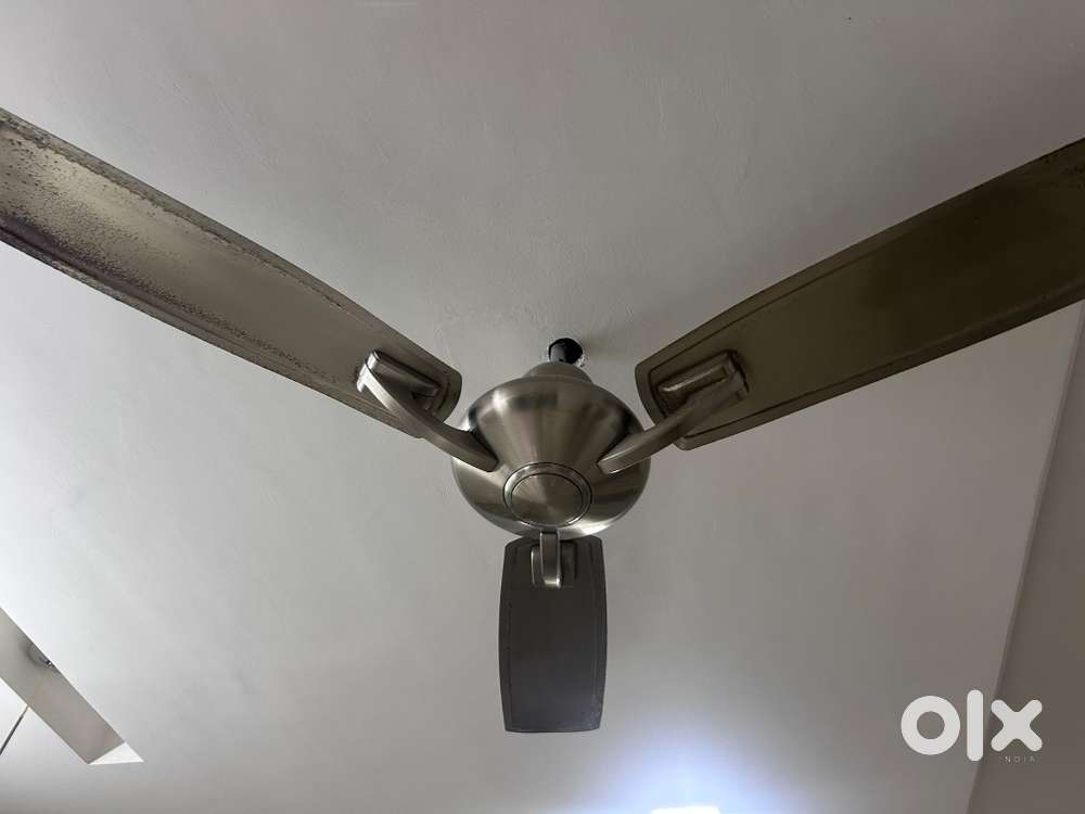 Ceiling fan