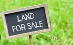Land sale near azikode