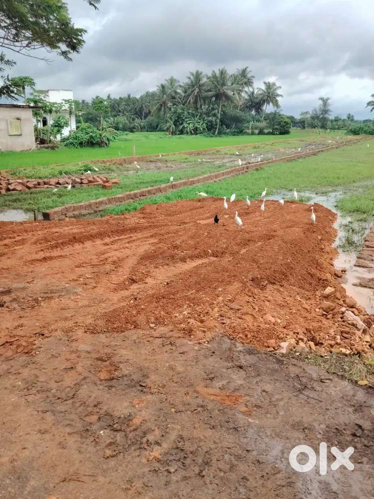 Plot for sale near pipili mangalpur