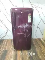 Lg flower model latest single door refrigerator