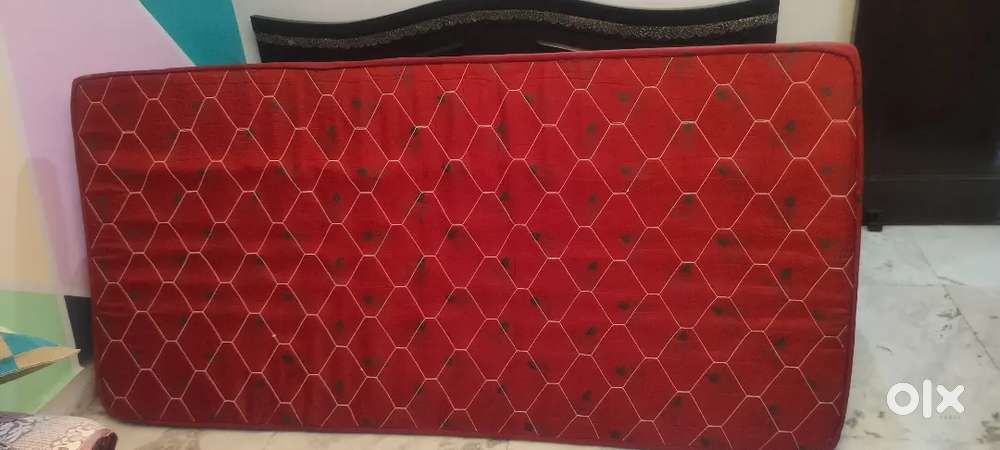 Bed Mattress Pair with Cover
