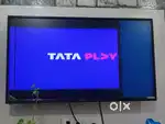 Sony 43 (Without Bill)