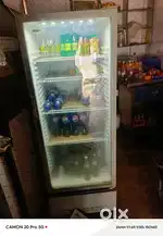 Hair beverage cooler