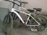 For adults