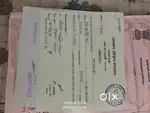 Sale Mati haf kotha,main raster pora 250 miter durot
