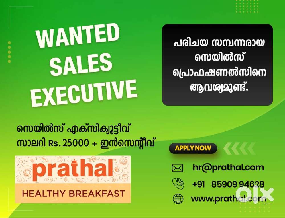 WANTED SALES EXECUTIVE