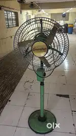 1 Big Fan.,