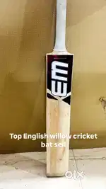 Top English willow cricket bat