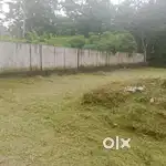 Kumbanad Near 10 Cent House Plot.