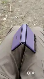 Motorola razr 40