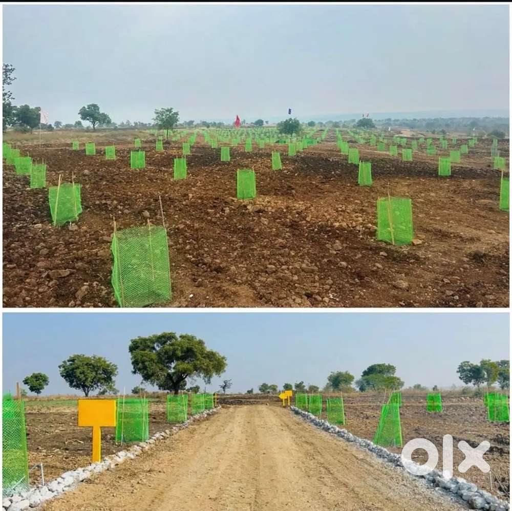 Agriculture farmlands