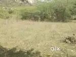 13 acers agriculture land Tirupati to 60 km s