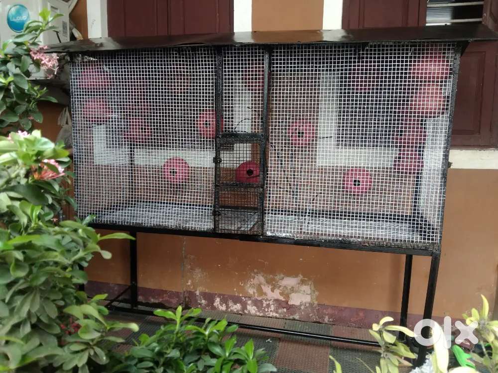 Birds cage for sale
