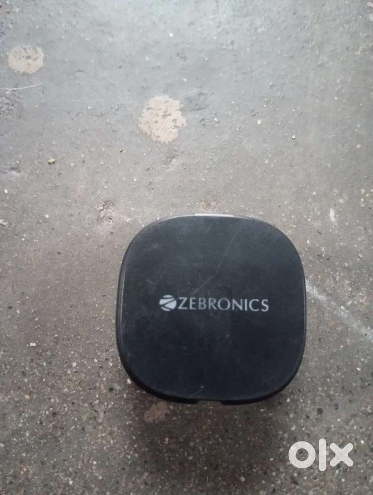 Ear phone zebronics