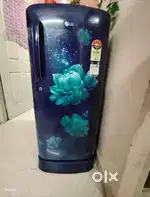 Refrigerator selling