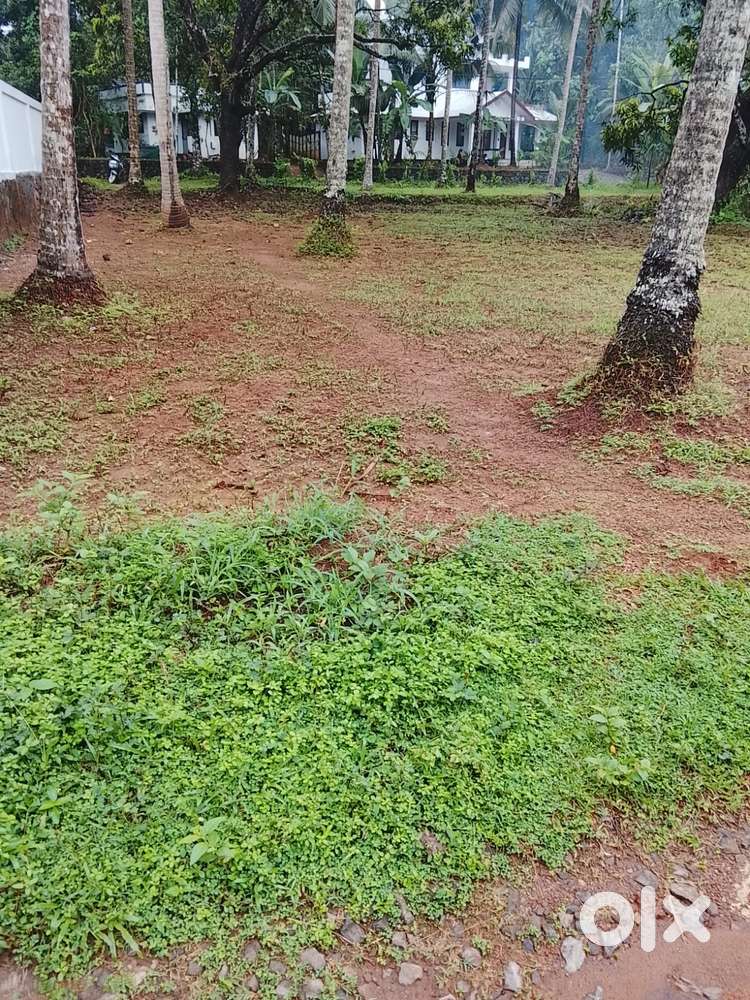55 CENT LAND FOR SALE MIMS HOSPITAL NEAR CALICUT