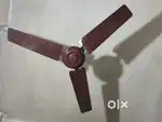 I want to sale my fan