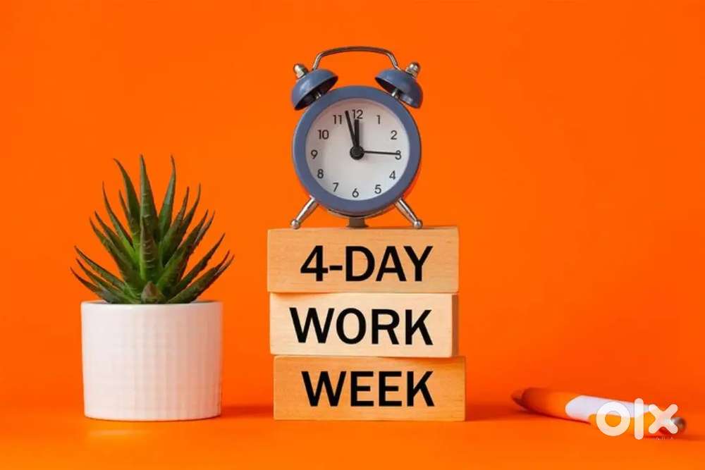 WORK FROM HOME OPPORTUNITY