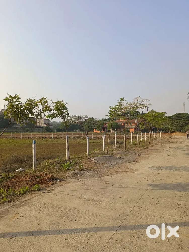 Commercial use plot in tnc colony infront of disha college pacheda