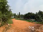 Place for sale in kozhikode ommesery,urgent sale