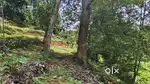 Agricultural plot for sale Near Thopramkudi schoolcity pelikankavala