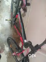 Fantom cycle