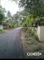 18 cents Land for sale in Ashtamichira, urgent sale