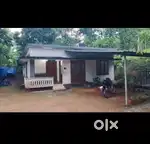 Kuttampuzha KOTHAMANGALAM 3.5 acre and 1500 sqft house