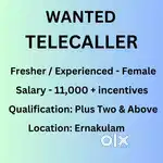 Telecaller executive