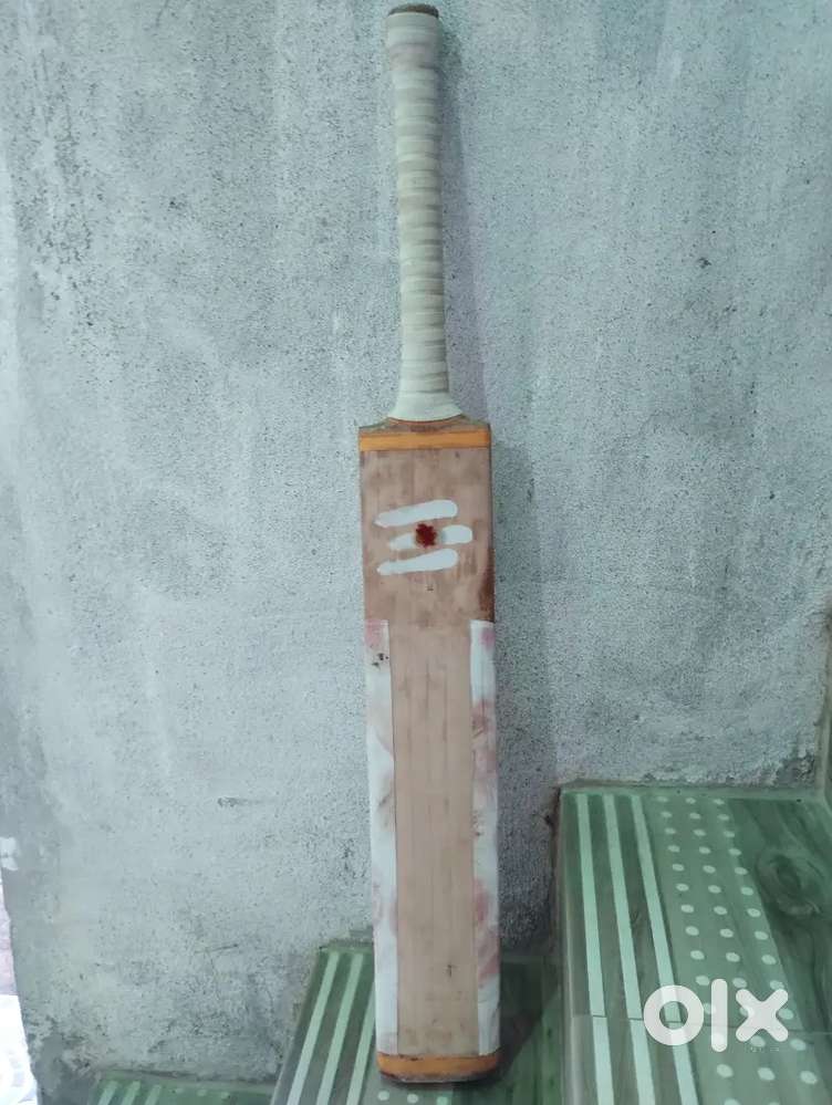 A Grade English will Bat