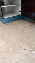 Protect Your Home from Cockroaches – Guaranteed Results