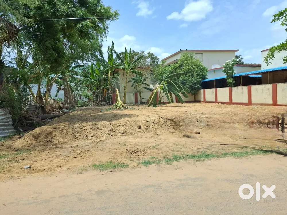 Pothepalli 194 square yards