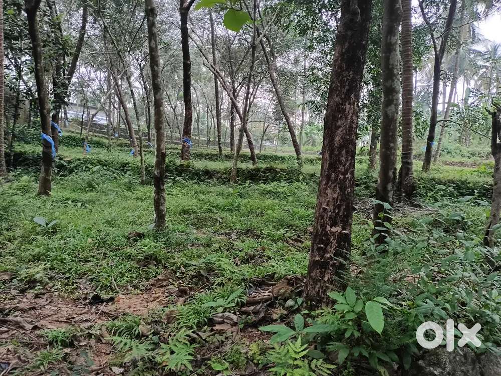 1 Acre Agricultural land and house plot rate per cent rate