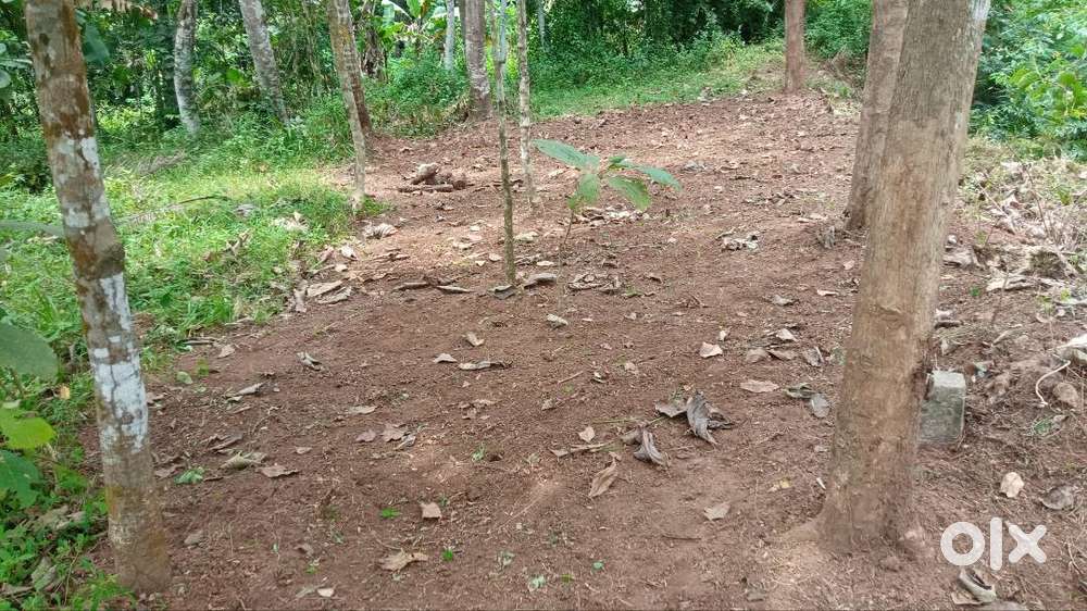 8 cent plot for sale good for house construction, facing road