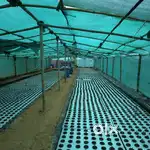 Aquaponics Farm for sale