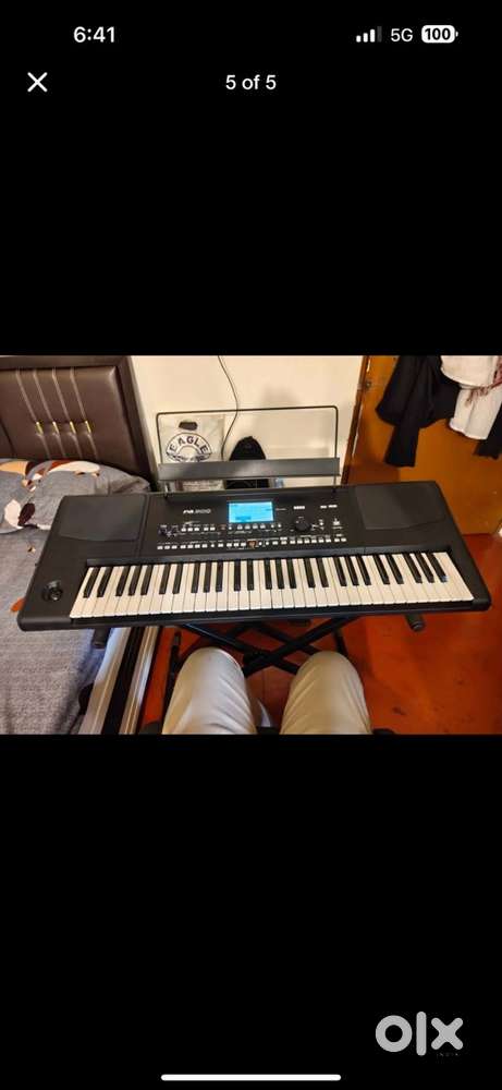 Korg pa300
