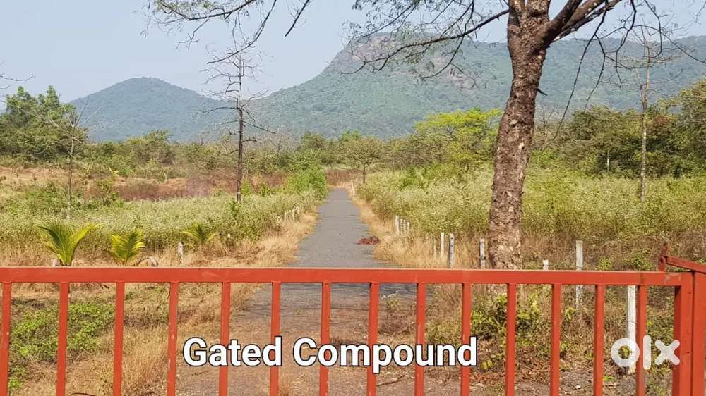 NA plots for sale in Talekhol Dodamarg