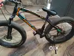 Fat tyres bicycle