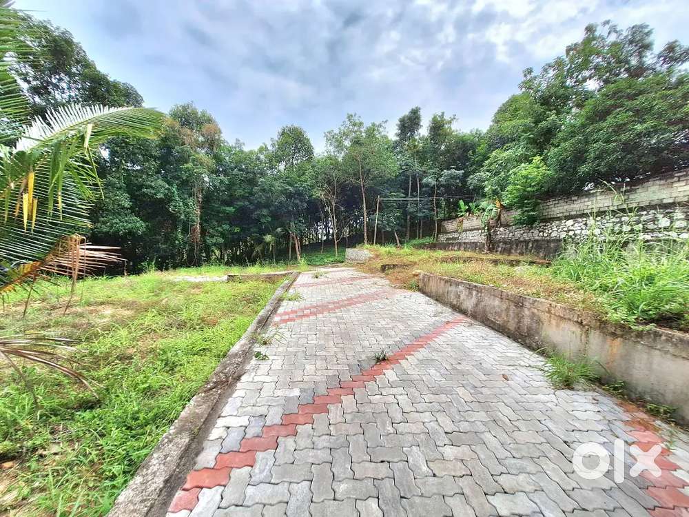 5സെന്റ് ആക്കുളം കട്ടെല